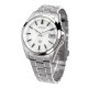 Citizen The Citizen AQ4091-56A Eco-Drive Japanese Paper Dial