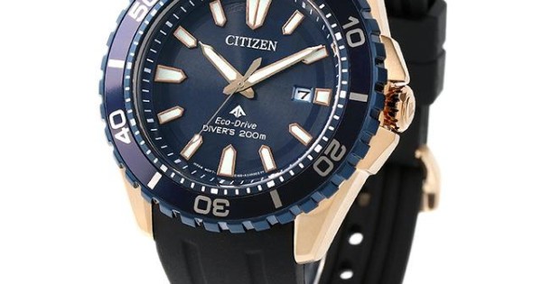 Citizen Promaster BN0196-01L | JapanOnlineStore