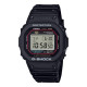 CASIO G-SHOCK DW-5000R-1AJF ORIGN Made in Japan